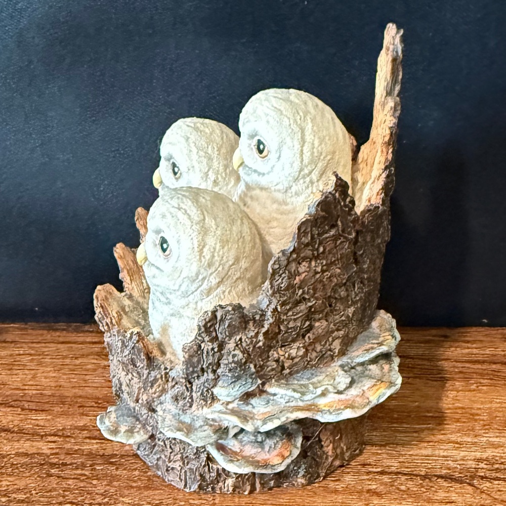 BORDER FINE ARTS Owl Figurine - Picture 10 of 16